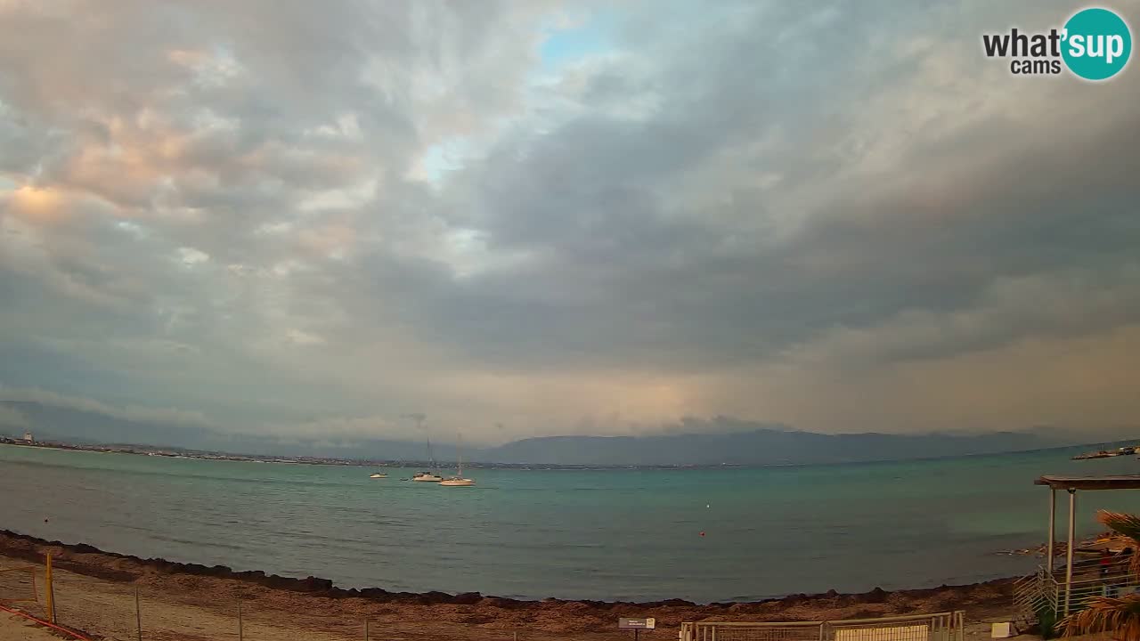 Webcam Cagliari Windsurf Club – Live from Poetto Beach