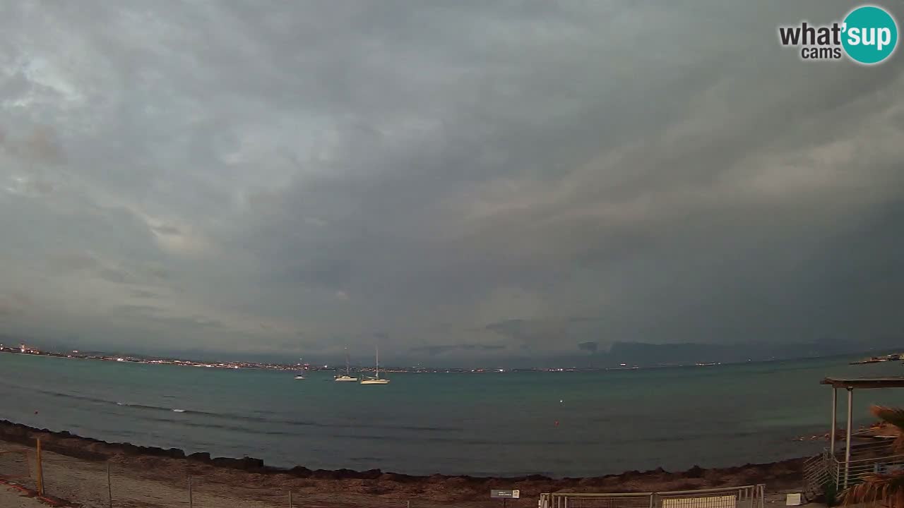 Spletna kamera Cagliari Windsurf Club – Pogled v živo s plaže Poetto