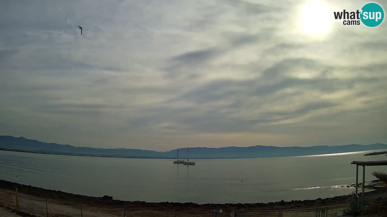 Webcam Cagliari Windsurf Club – Liveblick vom Poetto Strand