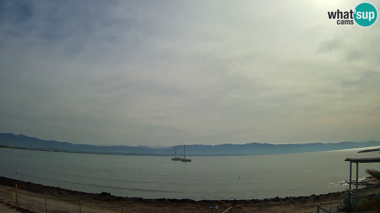 Webcam Cagliari Windsurf Club – Live from Poetto Beach