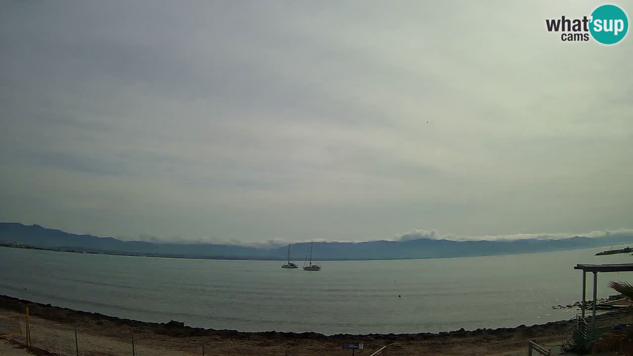 Webcam Cagliari Windsurf Club – Plage du Poetto en direct