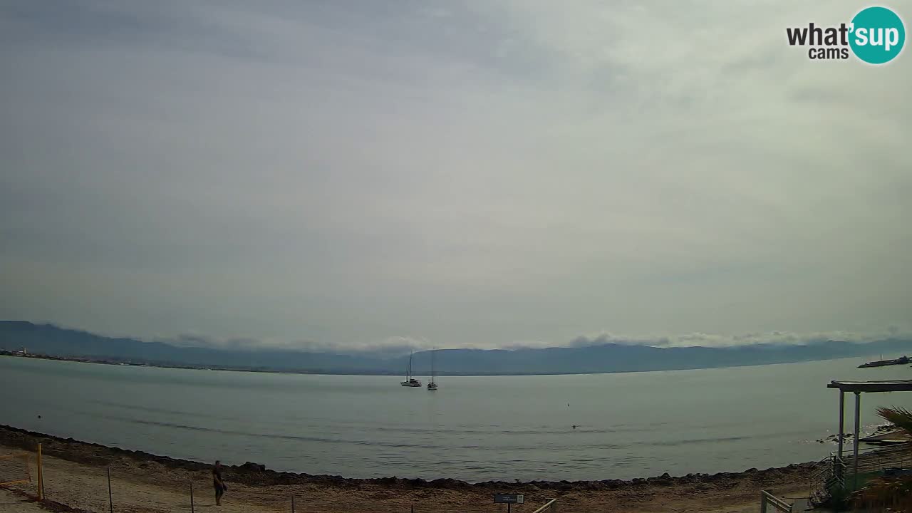 Webcam Cagliari Windsurf Club – Plage du Poetto en direct