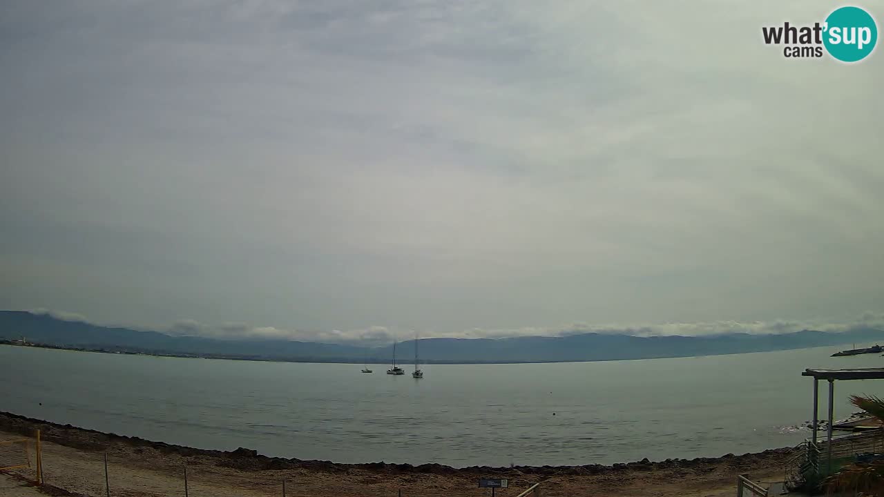 Webcam Cagliari Windsurf Club – Liveblick vom Poetto Strand