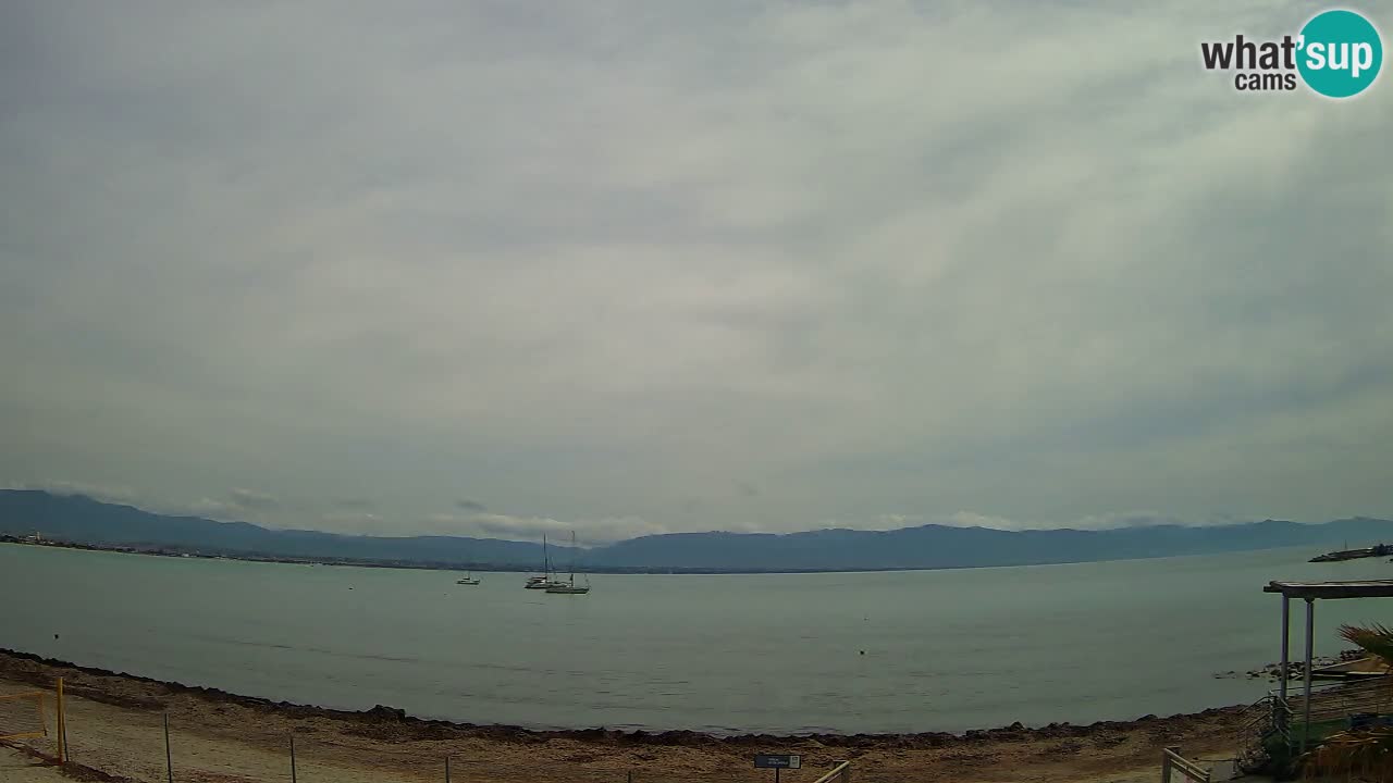 Webcam Cagliari Windsurf Club – Playa del Poetto en directo