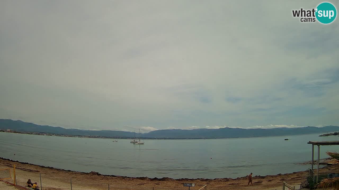 Webcam Cagliari Windsurf Club – Plage du Poetto en direct