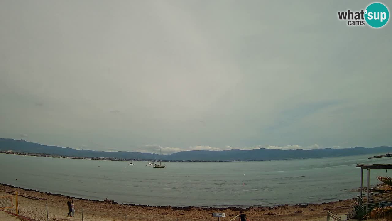 Spletna kamera Cagliari Windsurf Club – Pogled v živo s plaže Poetto