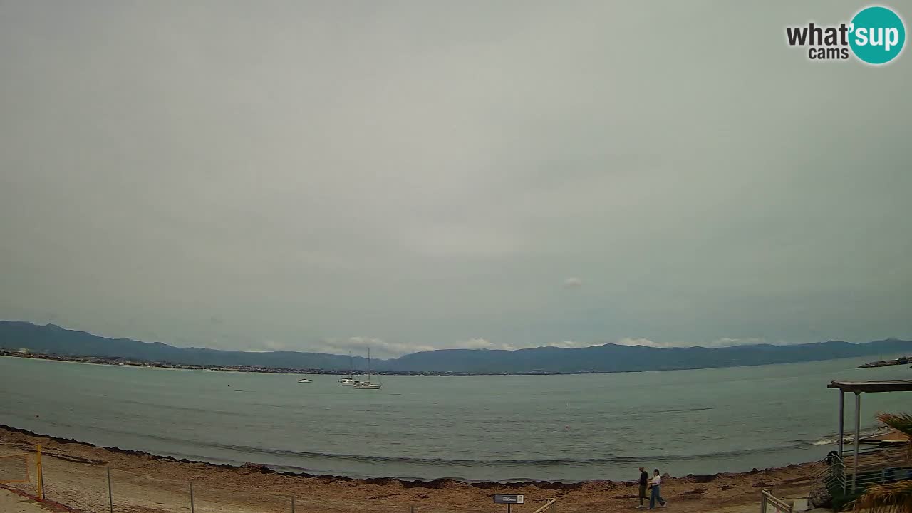 Webcam Cagliari Windsurf Club – Plage du Poetto en direct