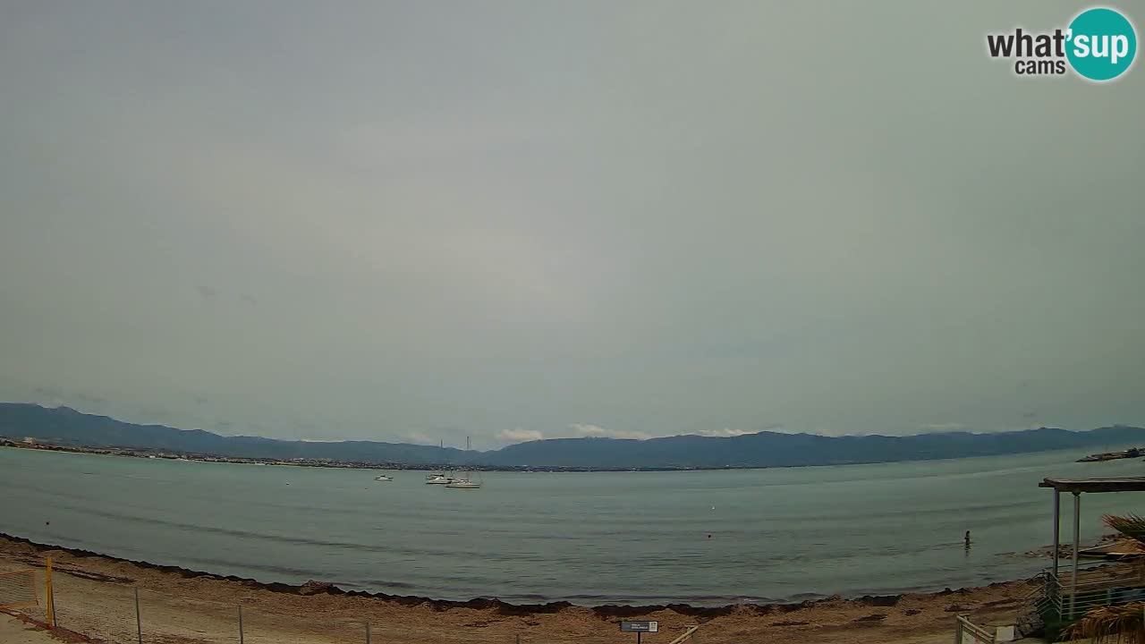 Webcam Cagliari Windsurf Club – Plage du Poetto en direct