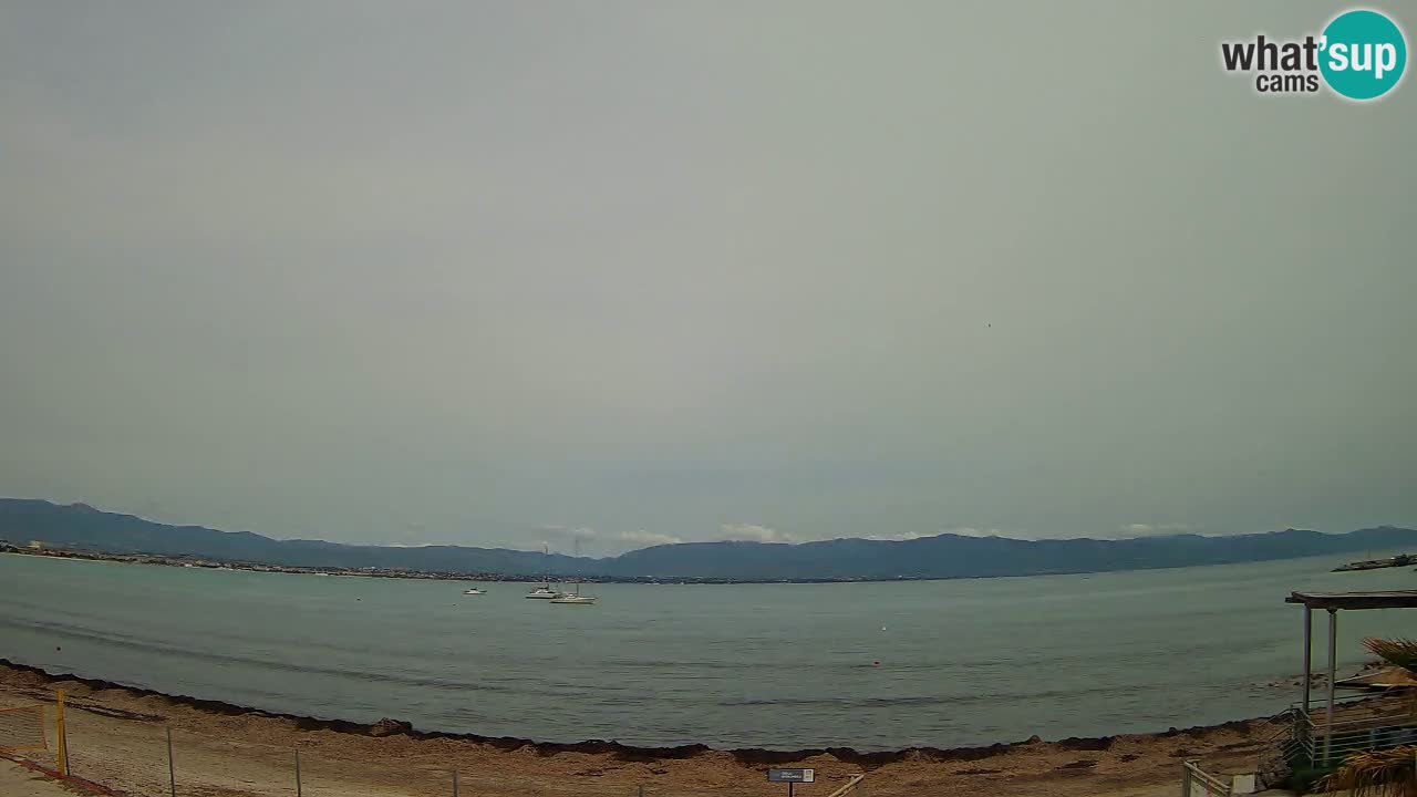 Webcam Cagliari Windsurf Club – Playa del Poetto en directo