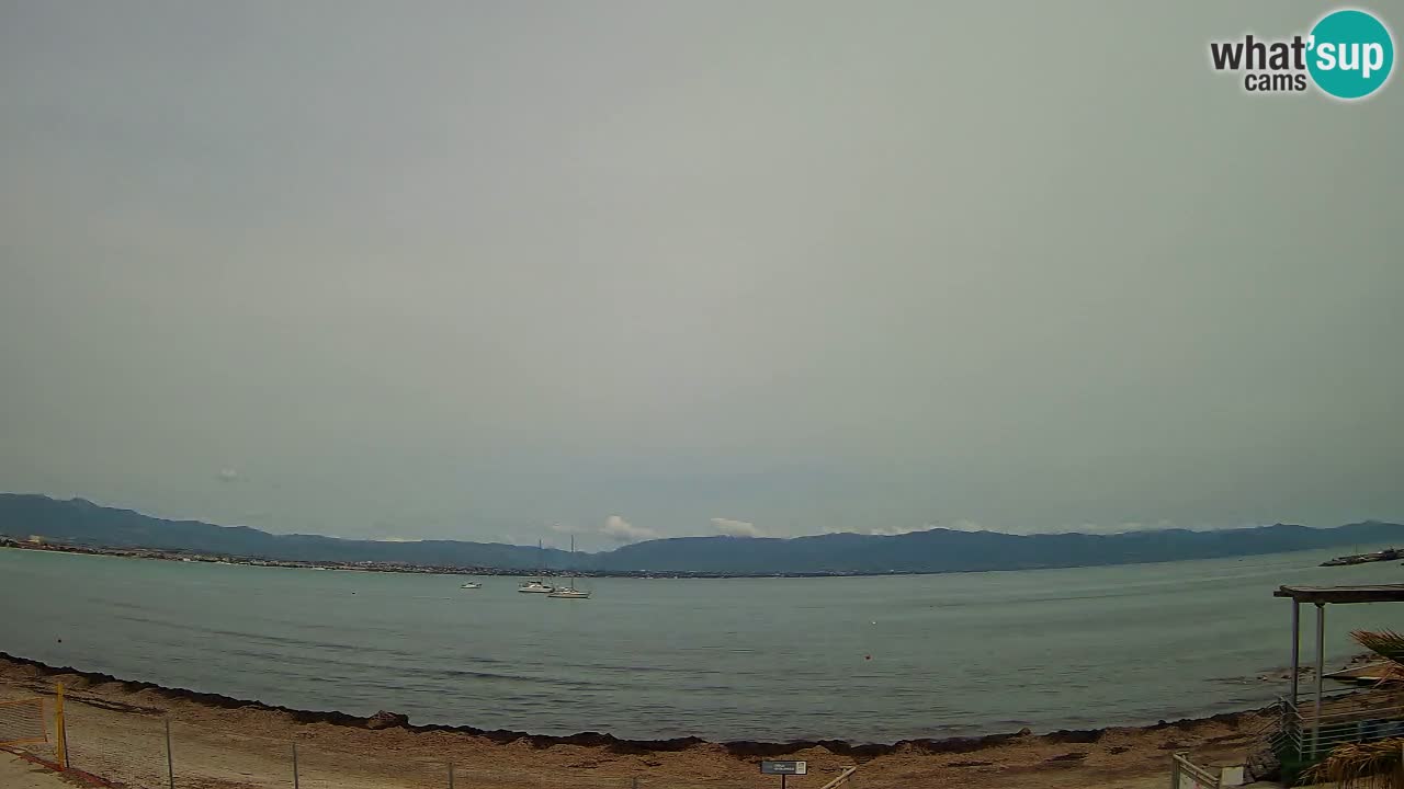 Webcam Cagliari Windsurf Club – Live from Poetto Beach