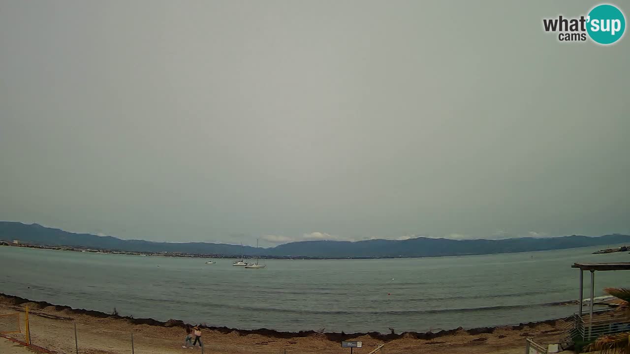 Webcam Cagliari Windsurf Club – Plage du Poetto en direct