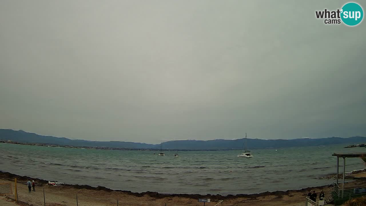 Webcam Cagliari Windsurf Club – Liveblick vom Poetto Strand