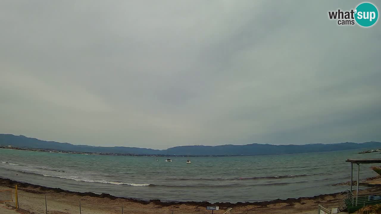 Webcam Cagliari Windsurf Club – Plage du Poetto en direct