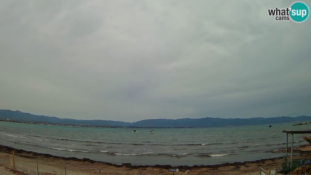 Webcam Cagliari Windsurf Club – Live from Poetto Beach