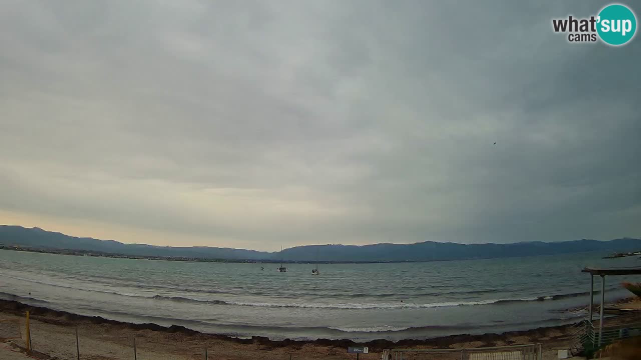 Webcam Cagliari Windsurf Club – Live from Poetto Beach