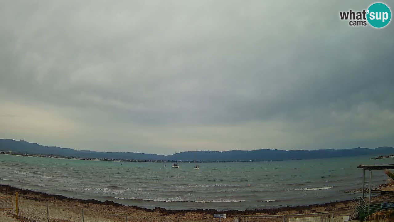 Webcam Cagliari Windsurf Club – Plage du Poetto en direct