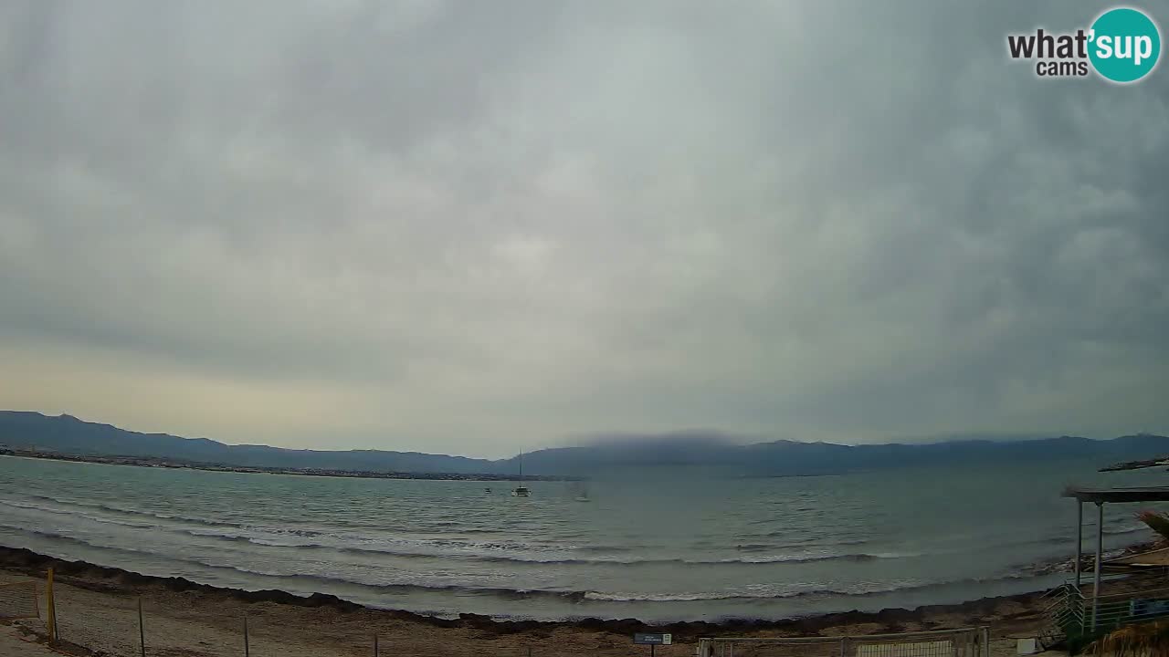 Webcam Cagliari Windsurf Club – Plage du Poetto en direct
