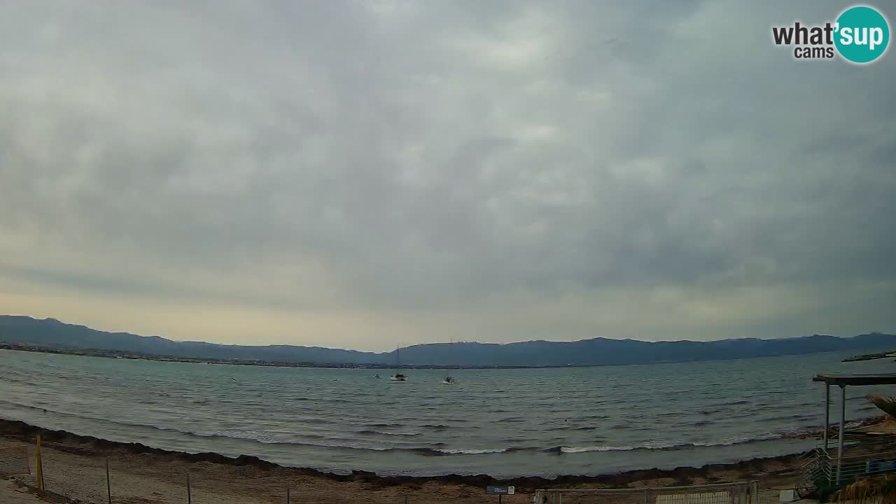 Webcam Cagliari Windsurf Club – Liveblick vom Poetto Strand