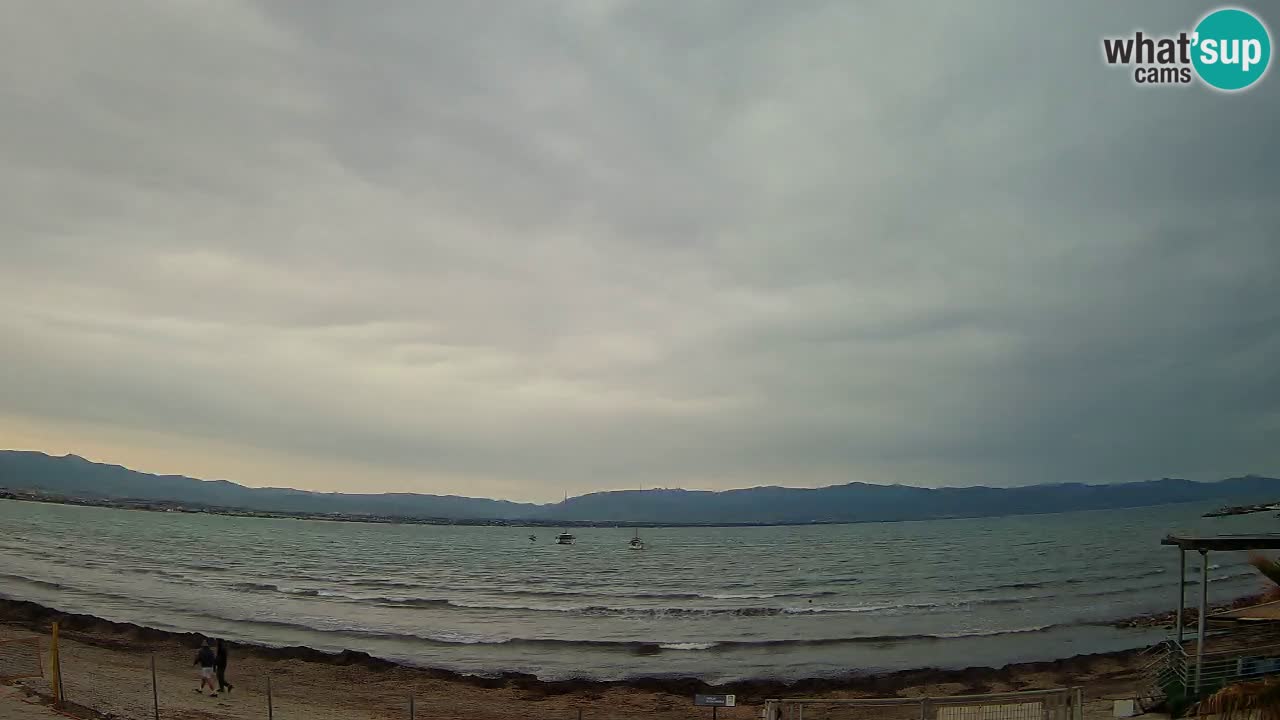 Webcam Cagliari Windsurf Club – Plage du Poetto en direct