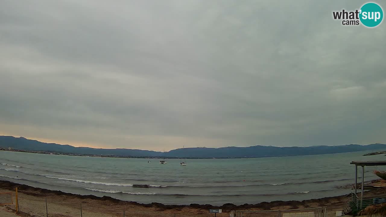 Spletna kamera Cagliari Windsurf Club – Pogled v živo s plaže Poetto