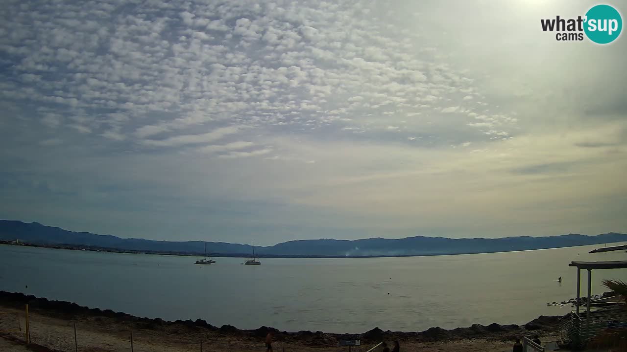 Webcam Cagliari Windsurf Club – Spiaggia del Poetto in diretta