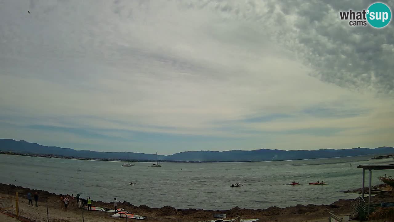 Webcam Cagliari Windsurf Club – Plage du Poetto en direct