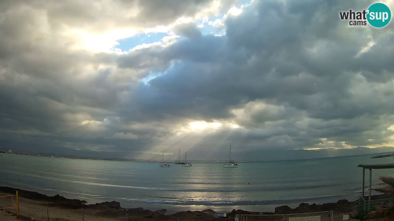 Webcam Cagliari Windsurf Club – Plage du Poetto en direct