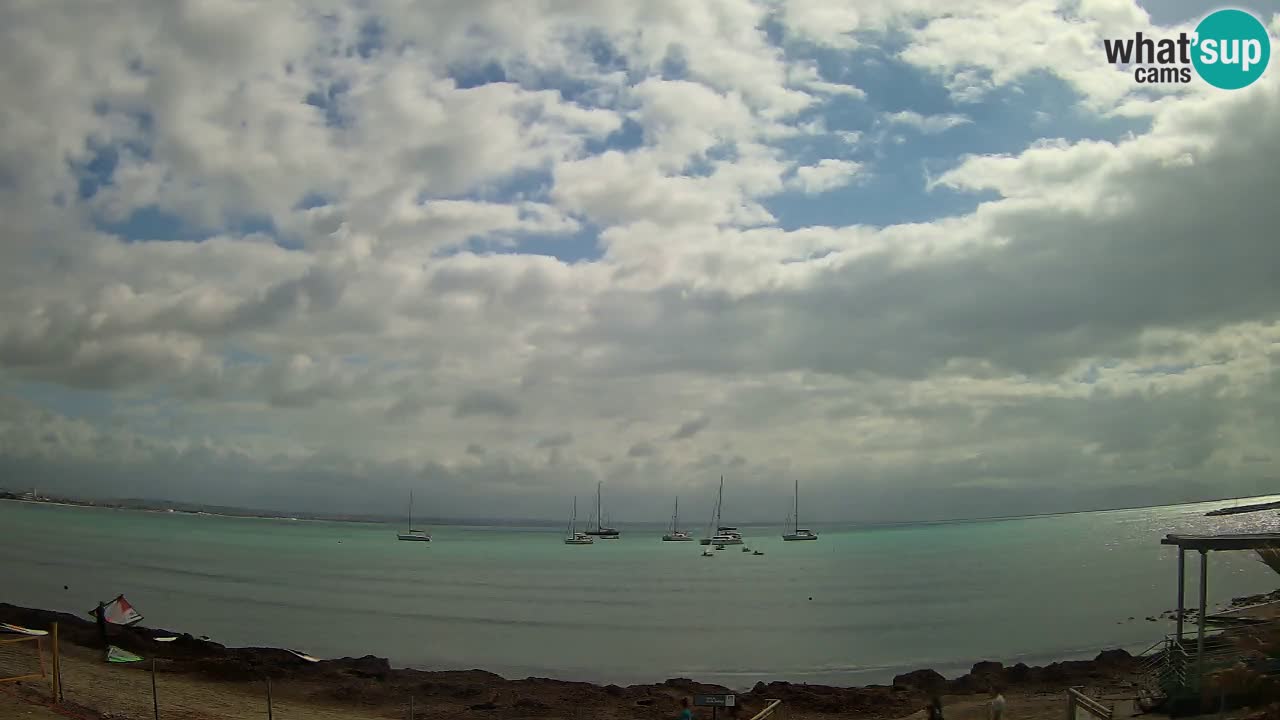 Webcam Cagliari Windsurf Club – Plage du Poetto en direct