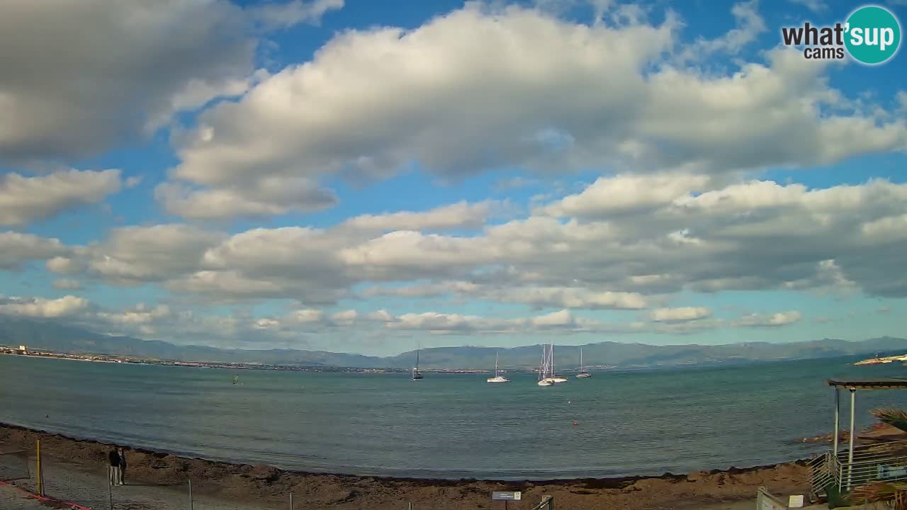 Webcam Cagliari Windsurf Club – Liveblick vom Poetto Strand