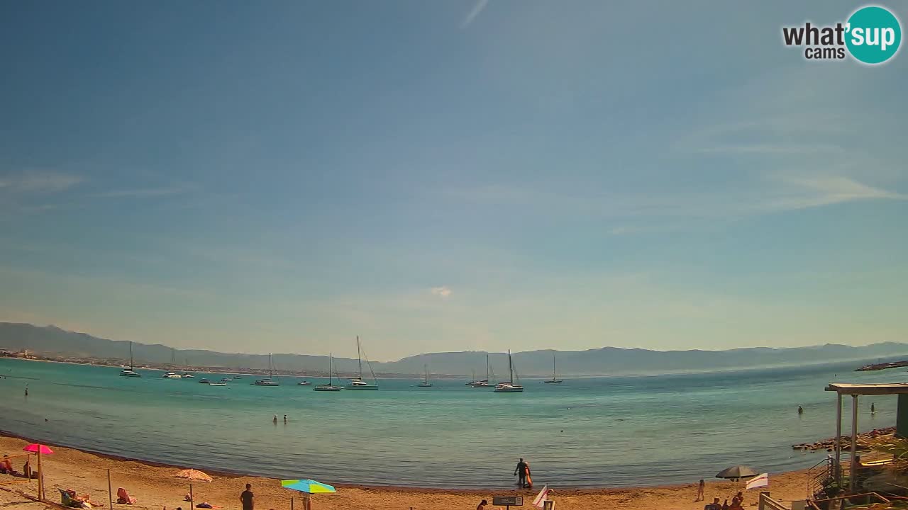 Webcam Cagliari Windsurf Club – Plage du Poetto en direct