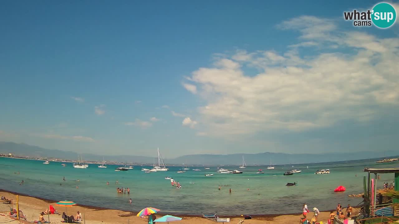 Webcam Cagliari Windsurf Club – Plage du Poetto en direct