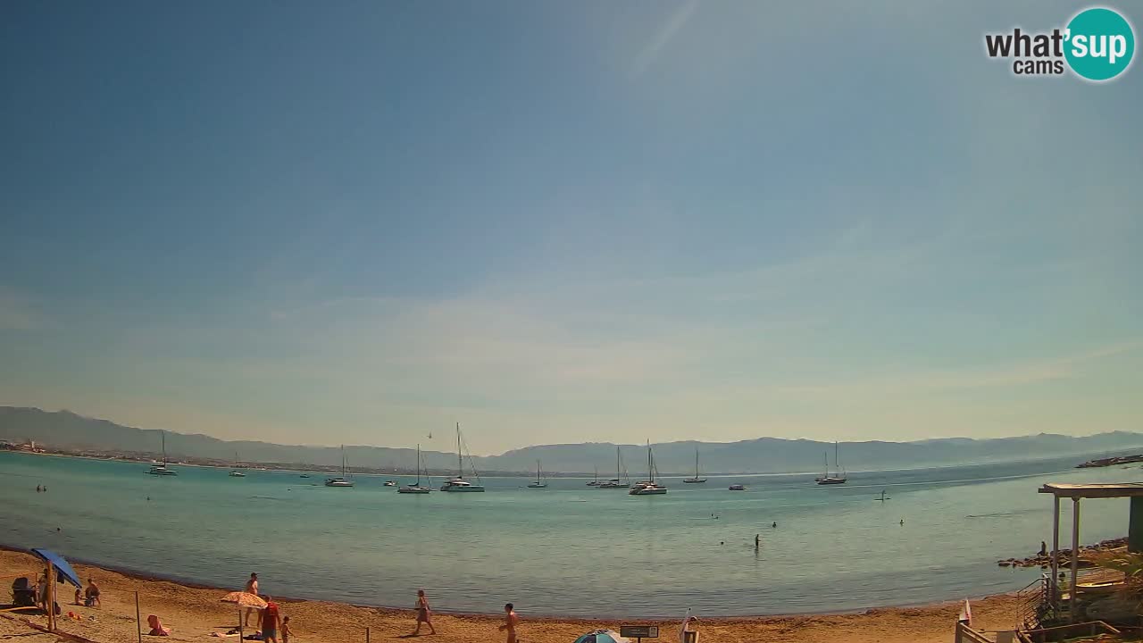 Webcam Cagliari Windsurf Club – Plage du Poetto en direct