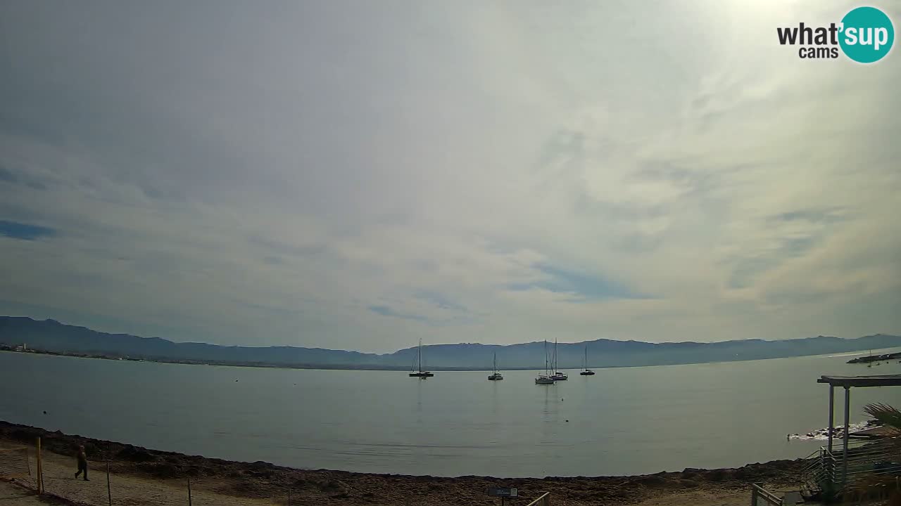 Web kamera Cagliari Windsurf Club – Poetto plaža uživo