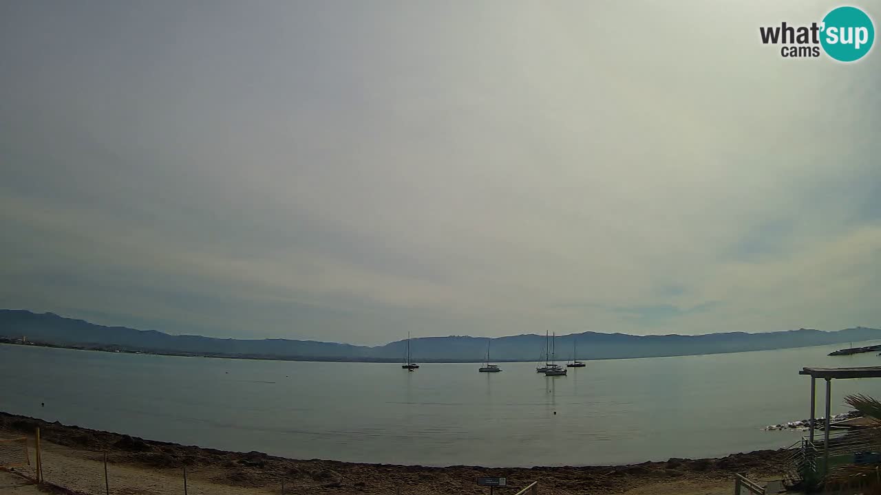Webcam Cagliari Windsurf Club – Live from Poetto Beach