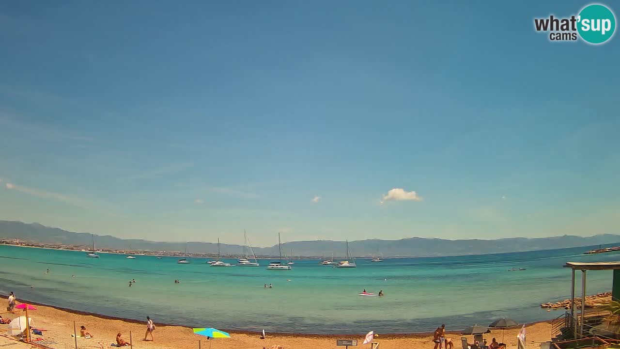 Webcam Cagliari Windsurf Club – Plage du Poetto en direct