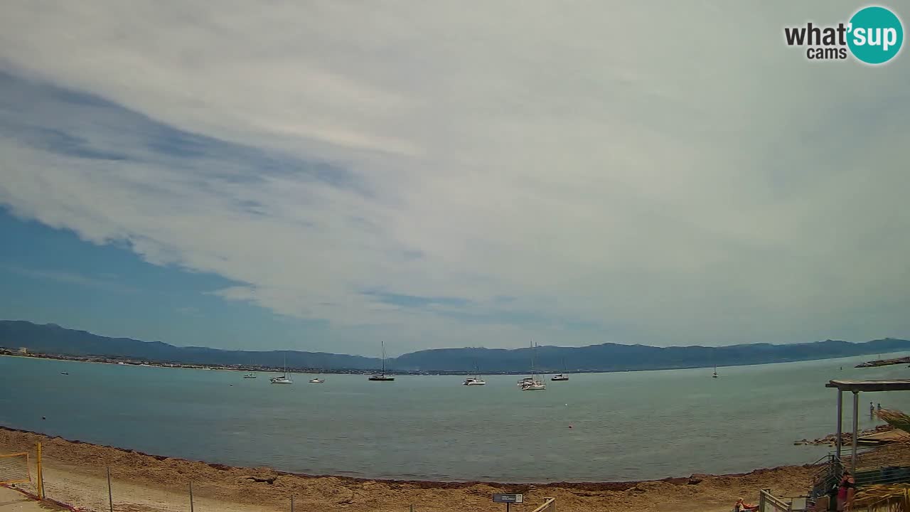 Web kamera Cagliari Windsurf Club – Poetto plaža uživo