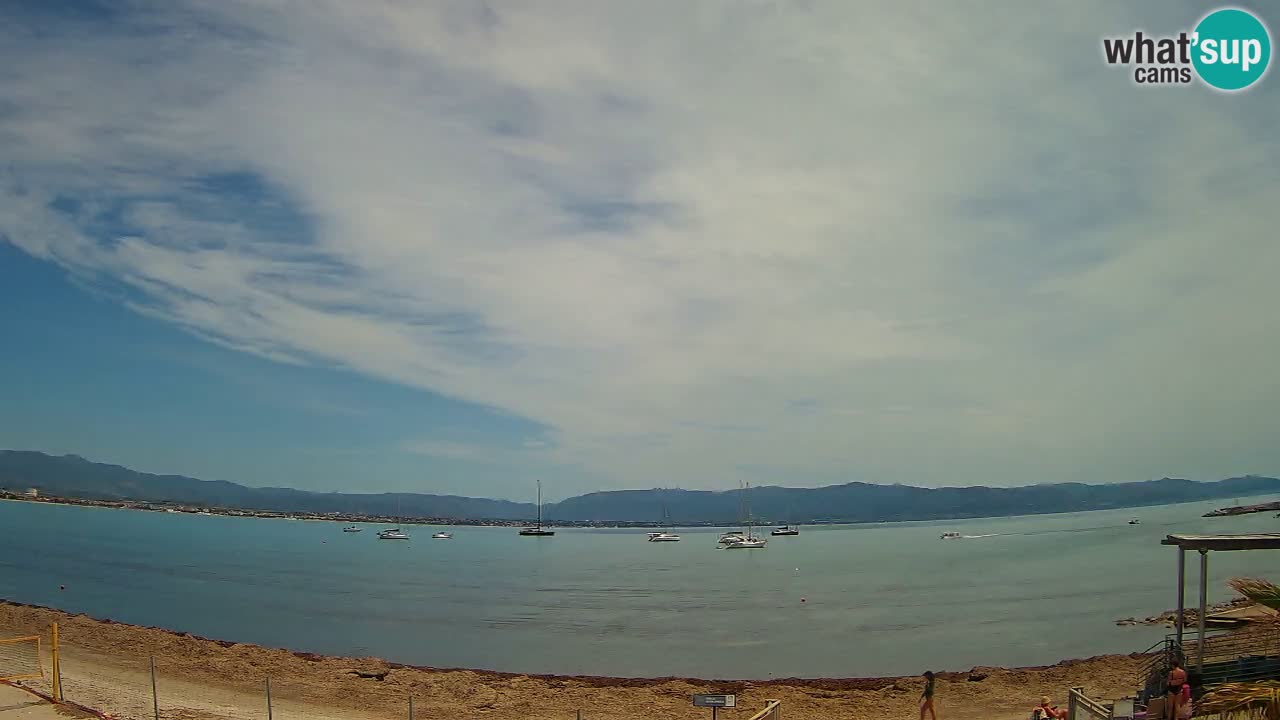 Webcam Cagliari Windsurf Club – Plage du Poetto en direct