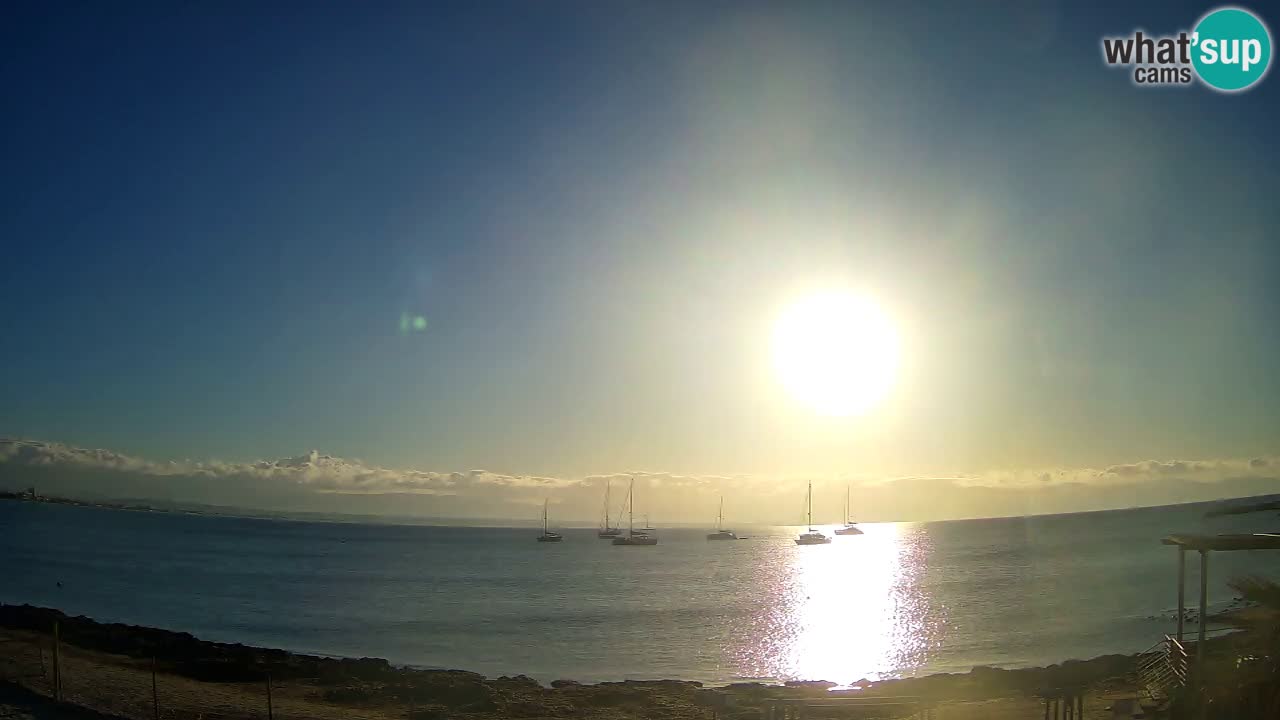 Webcam Cagliari Windsurf Club – Plage du Poetto en direct