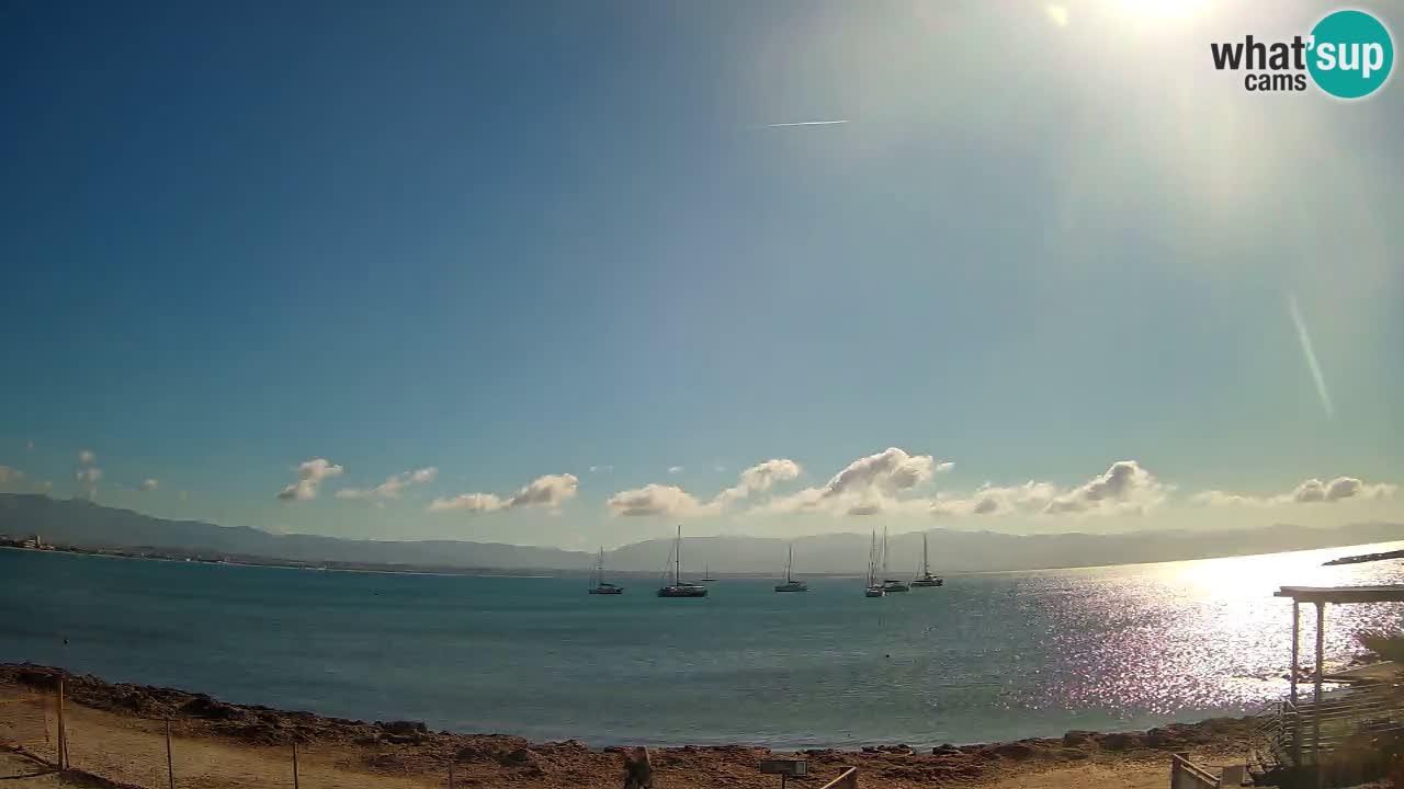 Spletna kamera Cagliari Windsurf Club – Pogled v živo s plaže Poetto
