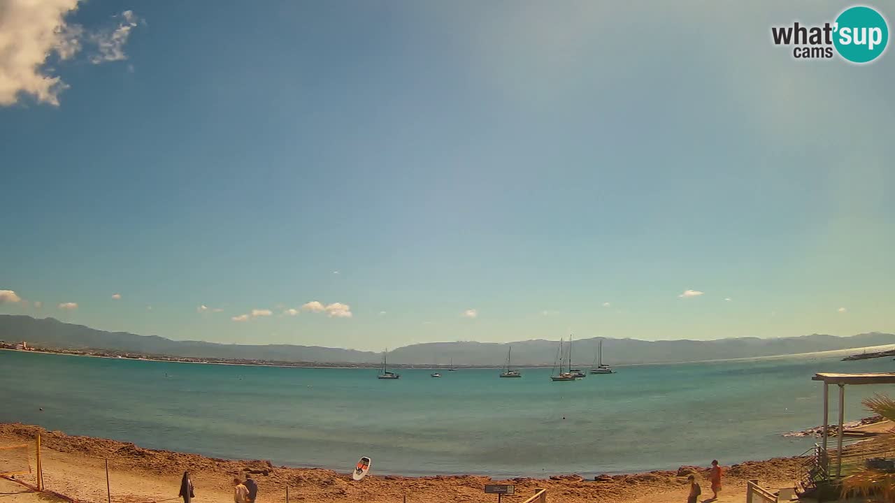 Webcam Cagliari Windsurf Club – Plage du Poetto en direct