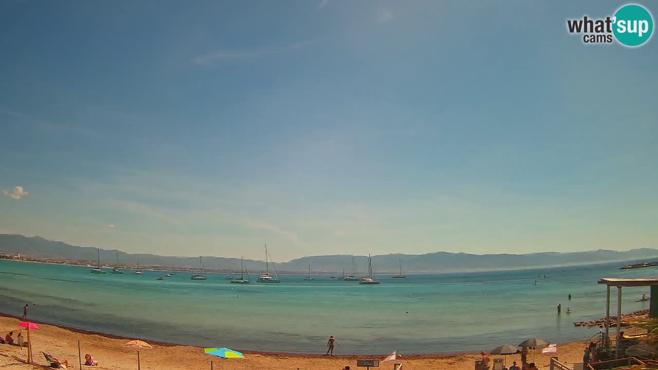 Webcam Cagliari Windsurf Club – Plage du Poetto en direct