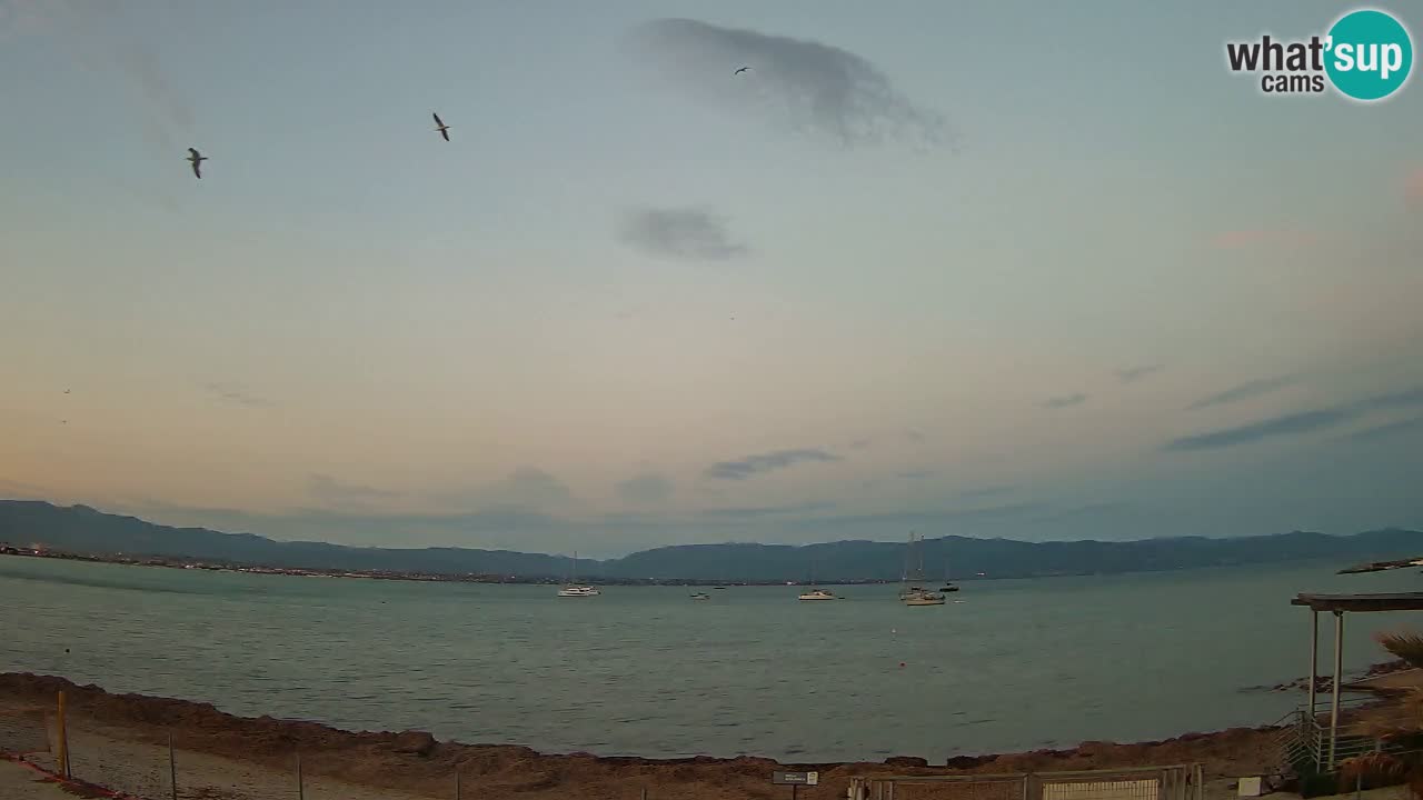 Spletna kamera Cagliari Windsurf Club – Pogled v živo s plaže Poetto