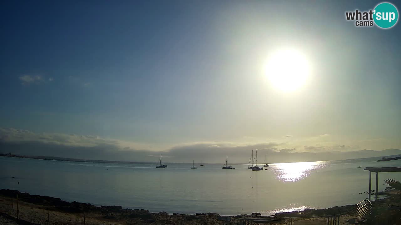 Webcam Cagliari Windsurf Club – Live from Poetto Beach