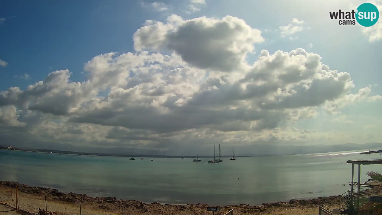 Spletna kamera Cagliari Windsurf Club – Pogled v živo s plaže Poetto
