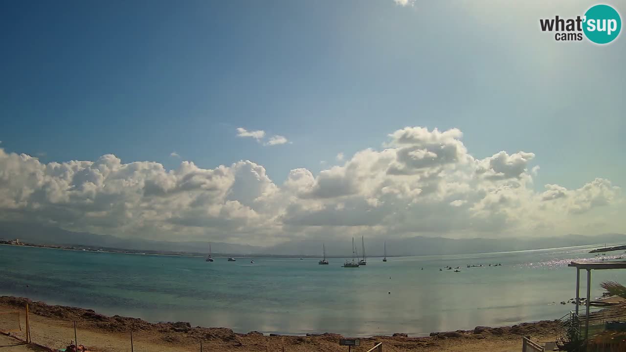 Webcam Cagliari Windsurf Club – Live from Poetto Beach