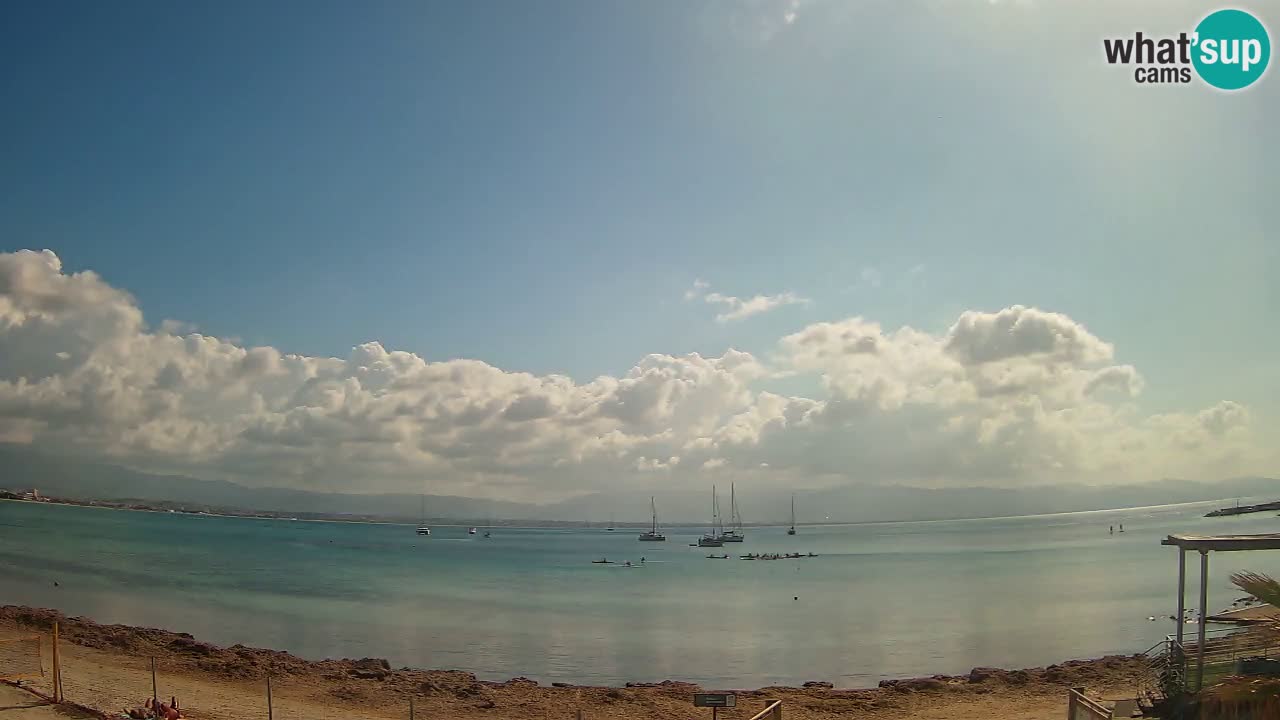 Spletna kamera Cagliari Windsurf Club – Pogled v živo s plaže Poetto