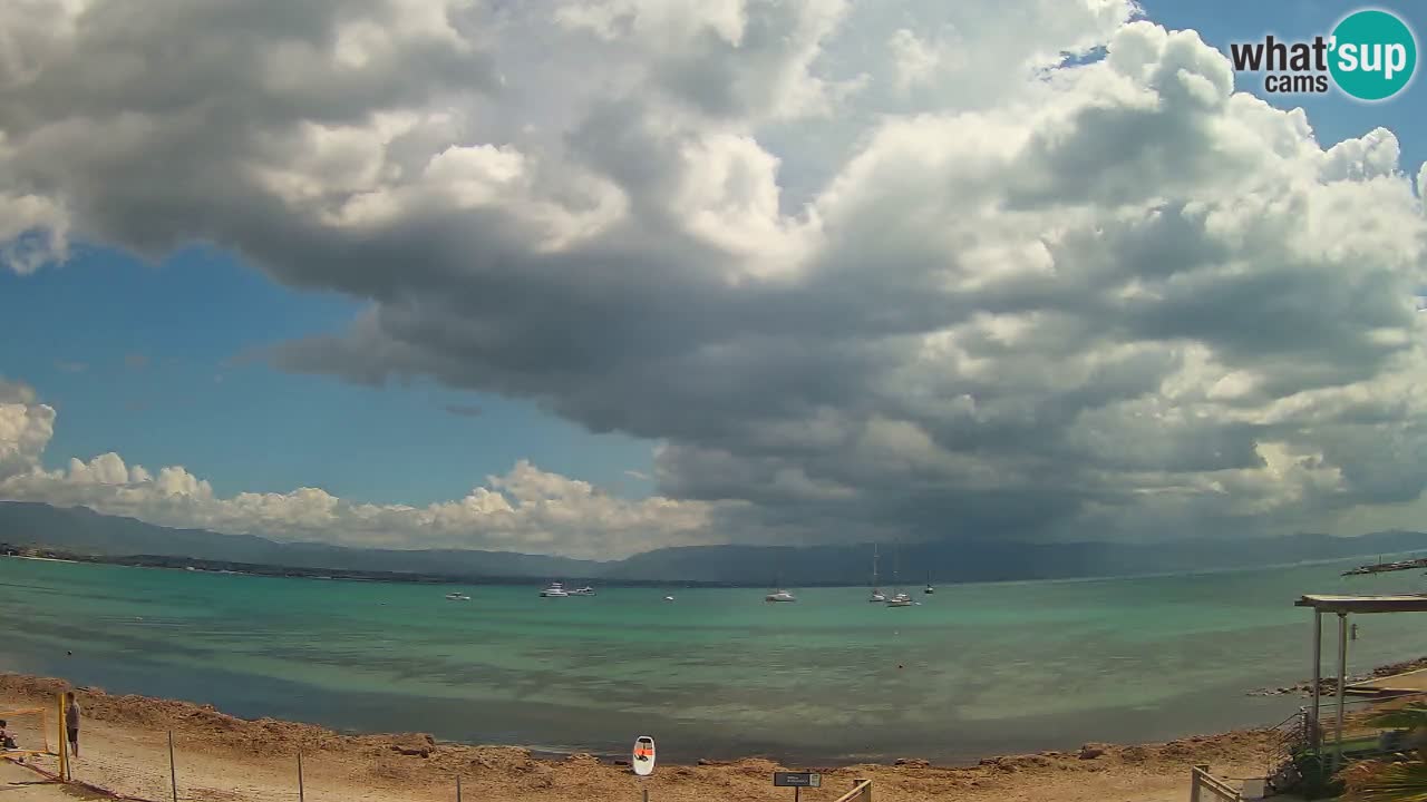 Webcam Cagliari Windsurf Club – Plage du Poetto en direct