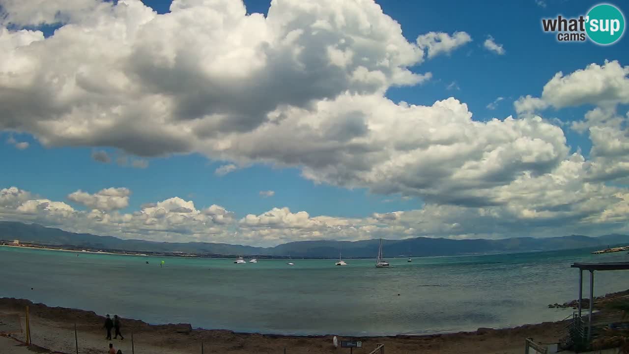 Webcam Cagliari Windsurf Club – Live from Poetto Beach