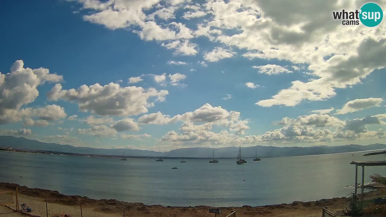 Web kamera Cagliari Windsurf Club – Poetto plaža uživo