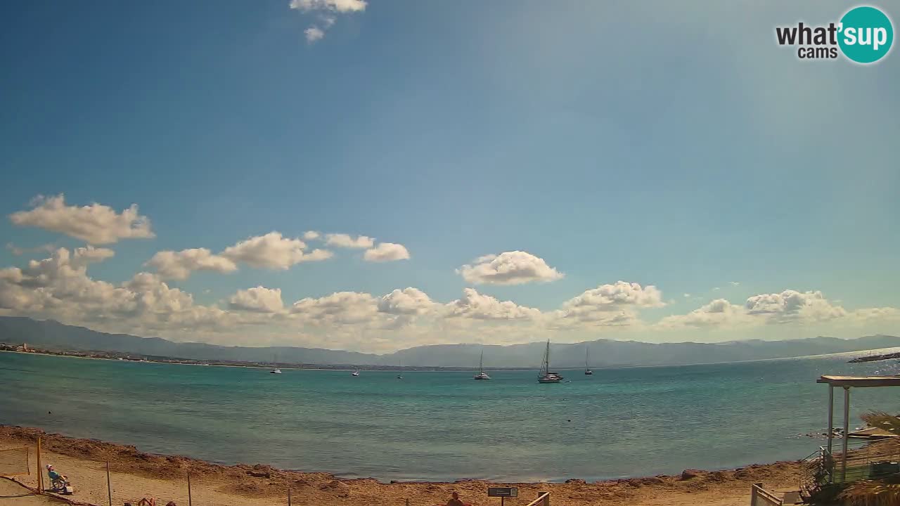 Spletna kamera Cagliari Windsurf Club – Pogled v živo s plaže Poetto